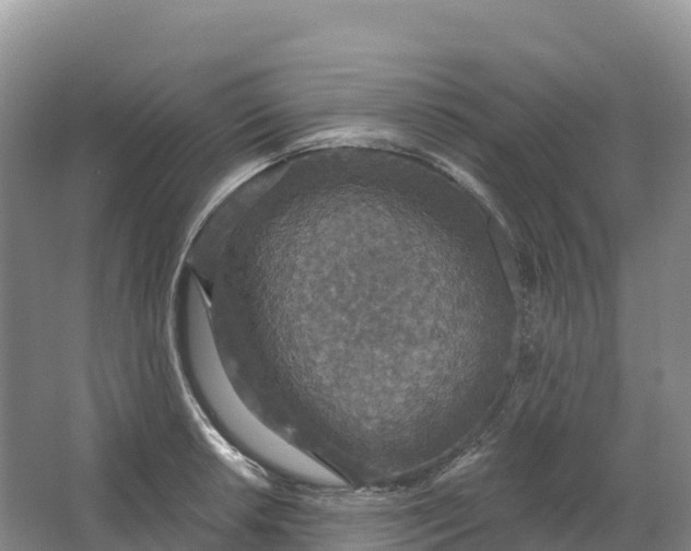 X0000064741042200602241749