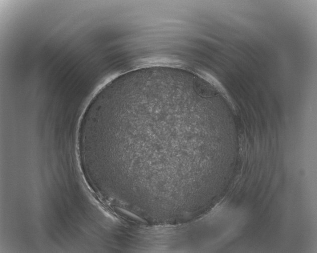 X0000064741043200602241749