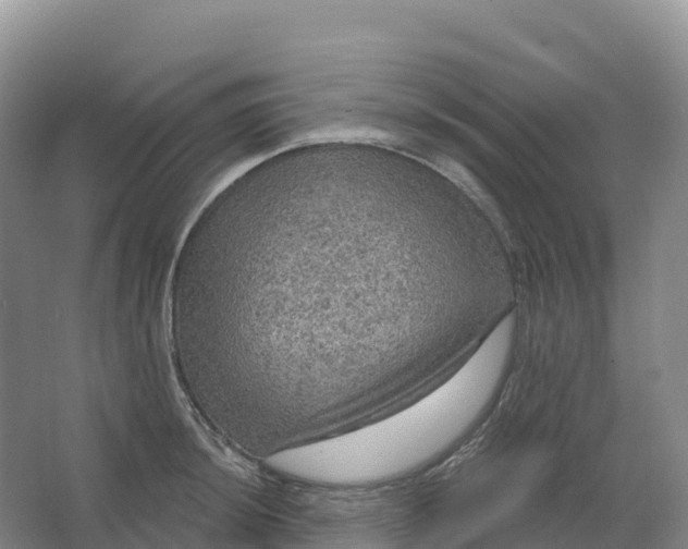 X0000064741044200602241749