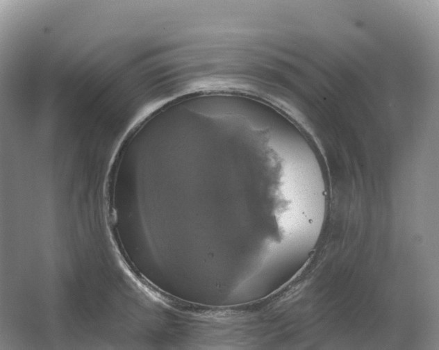 X0000064741045200602241749