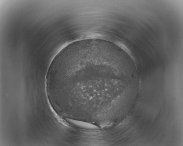 X0000064741047200602241749