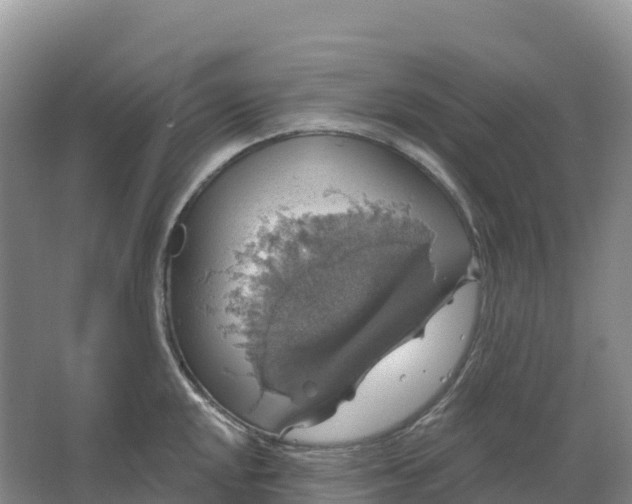 X0000064741048200602241749