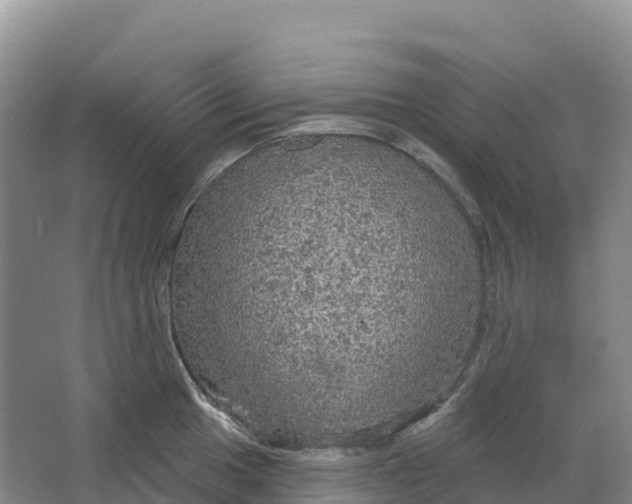 X0000064741049200602241749