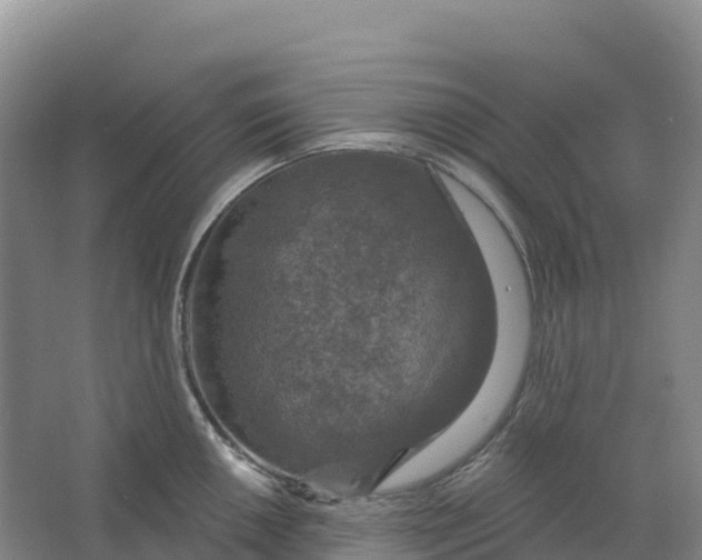 X0000064741050200602241749