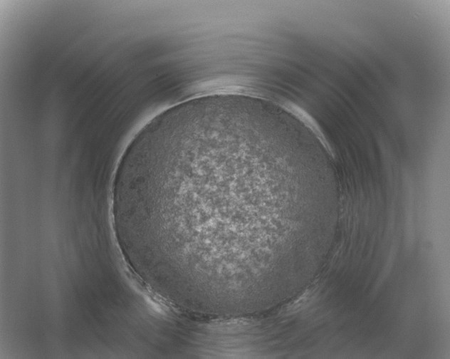 X0000064741051200602241750