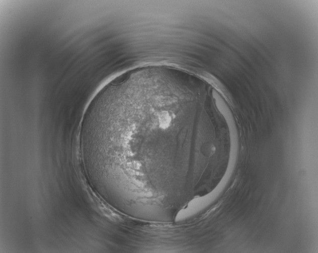 X0000064741052200602241750