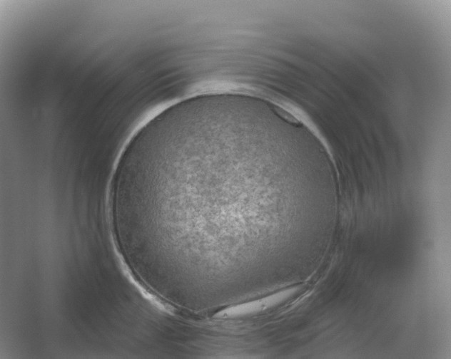 X0000064741053200602241750