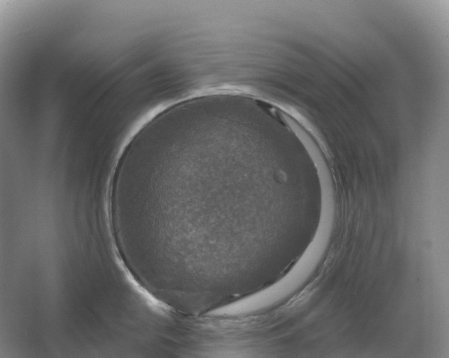 X0000064741054200602241750