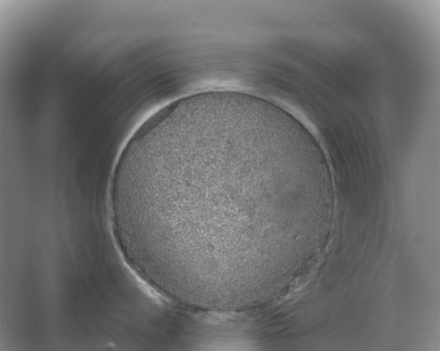 X0000064741056200602241750