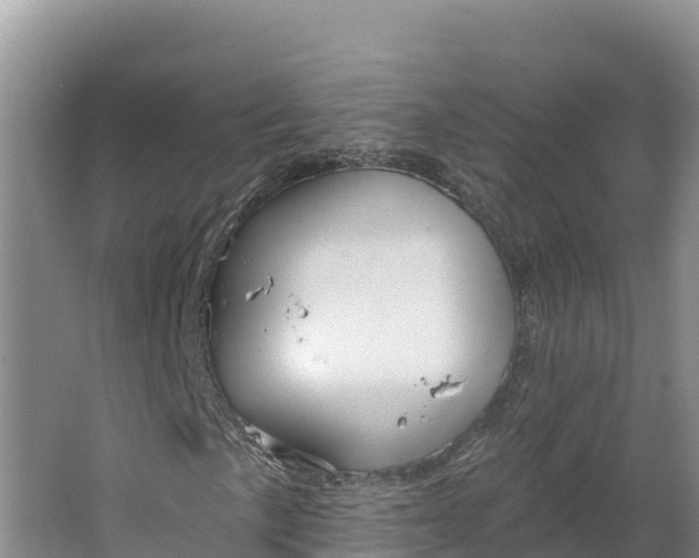 X0000064741057200602241748