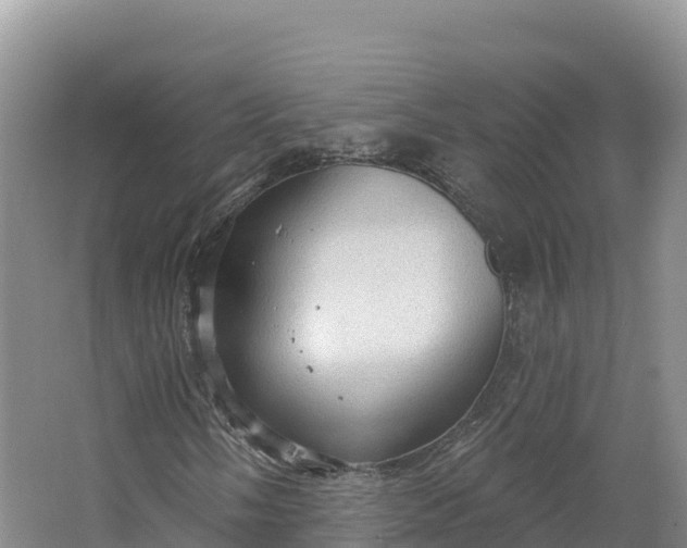 X0000064741058200602241748