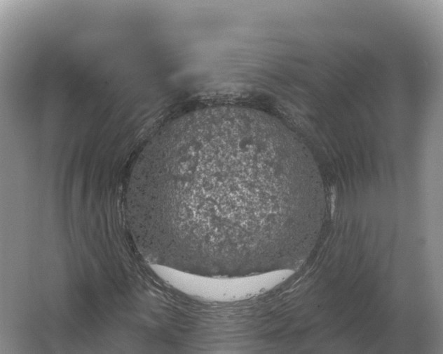 X0000064741059200602241748