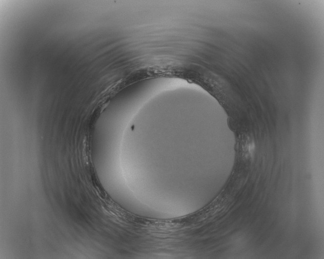 X0000064741060200602241748