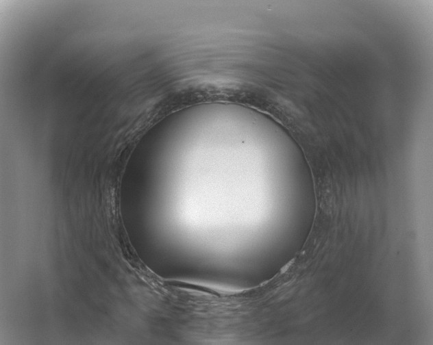 X0000064741061200602241748