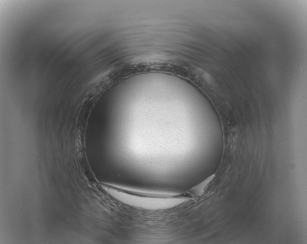 X0000064741062200602241748