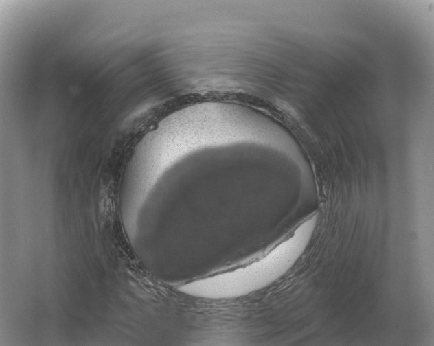 X0000064741063200602241748