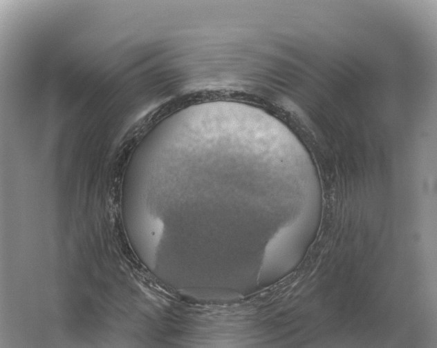 X0000064741064200602241748