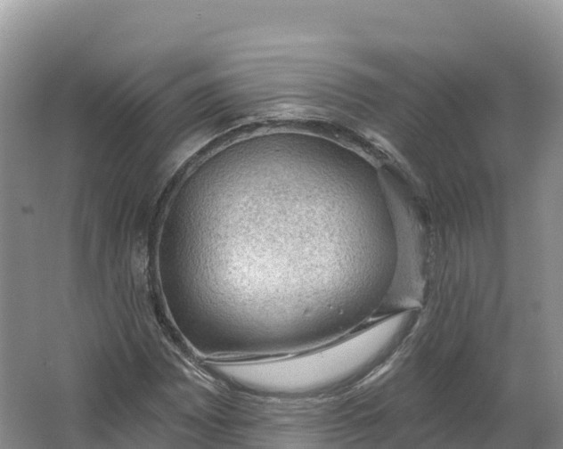 X0000064741065200602241748