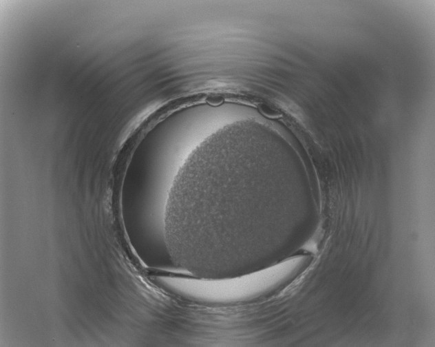 X0000064741066200602241748