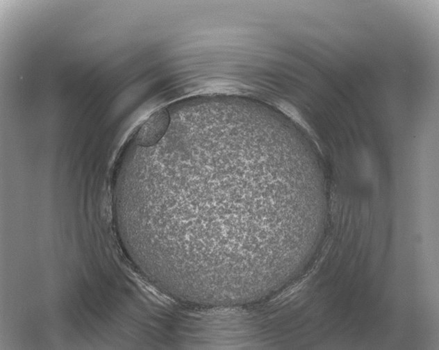 X0000064741067200602241748