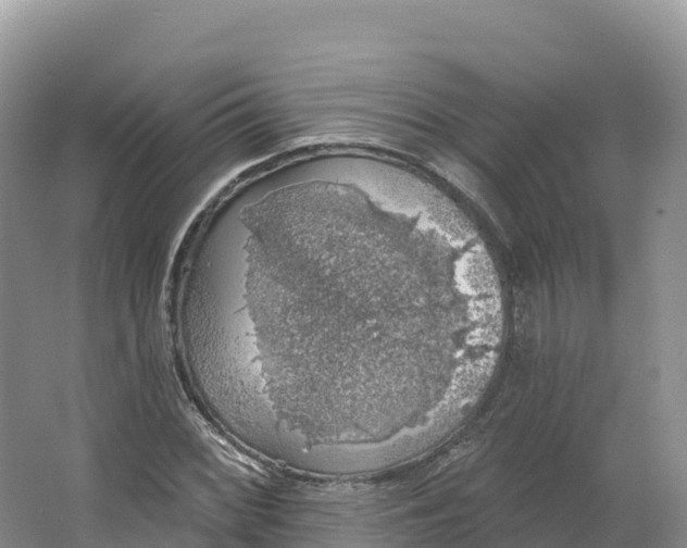 X0000064741068200602241748