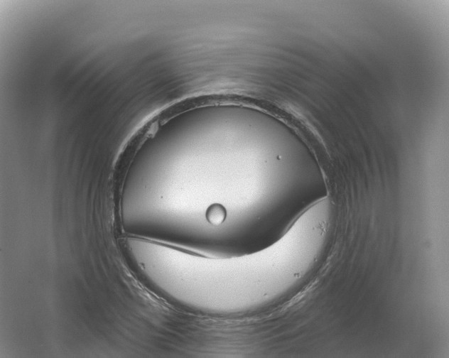 X0000064741069200602241748