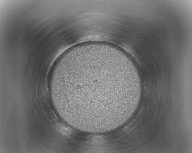 X0000064741070200602241748