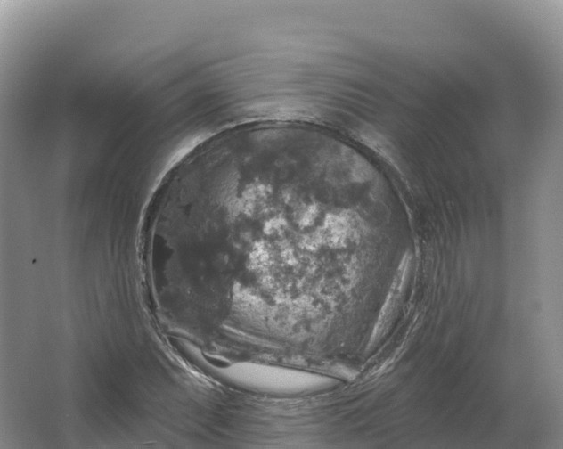 X0000064741071200602241748