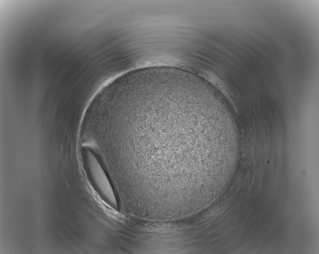 X0000064741072200602241748