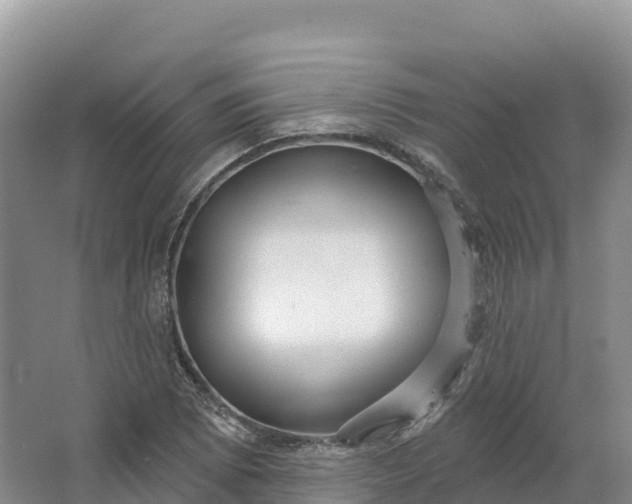 X0000064741073200602241748