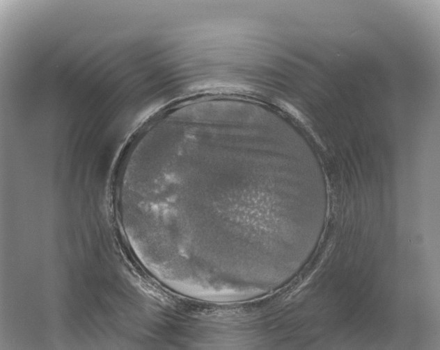 X0000064741074200602241748