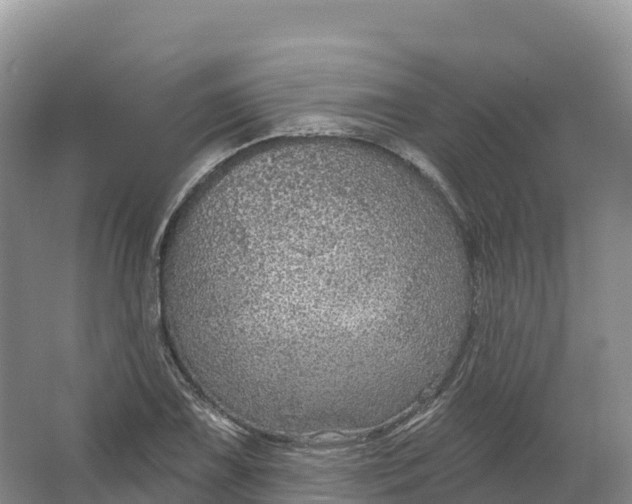 X0000064741075200602241748