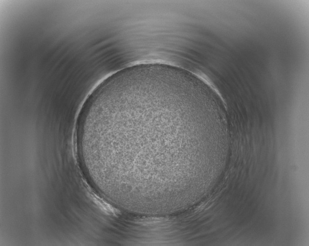 X0000064741076200602241748