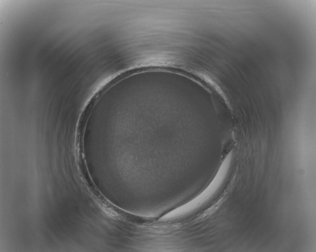 X0000064741077200602241748