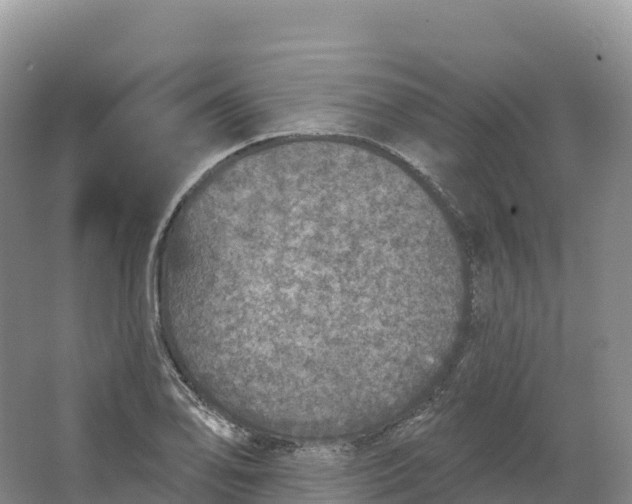 X0000064741078200602241748