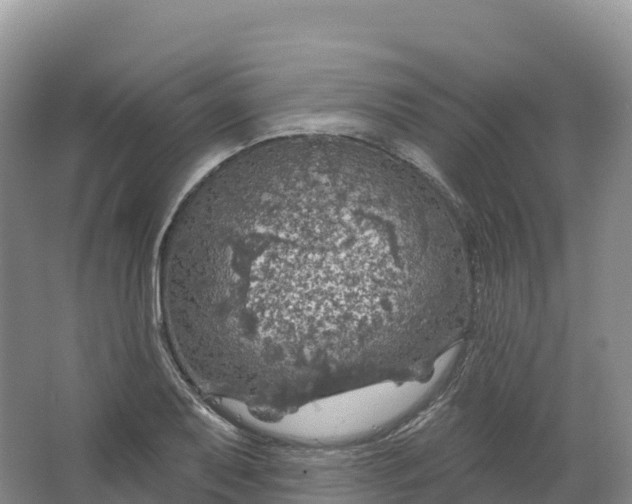 X0000064741079200602241748