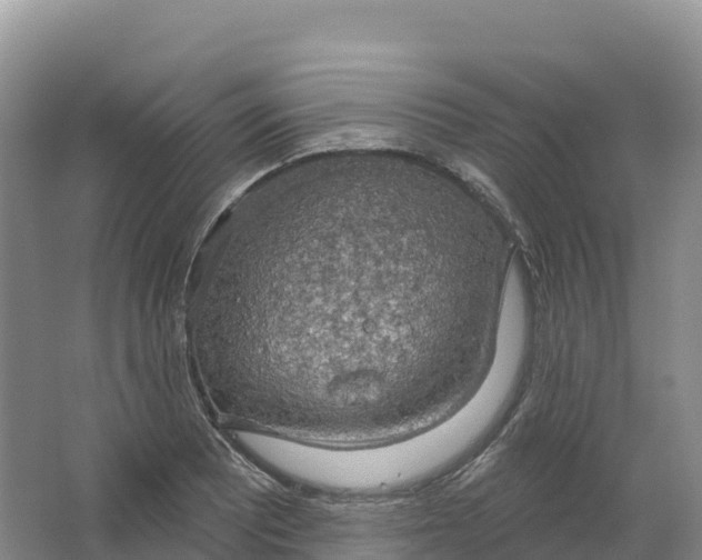 X0000064741081200602241748