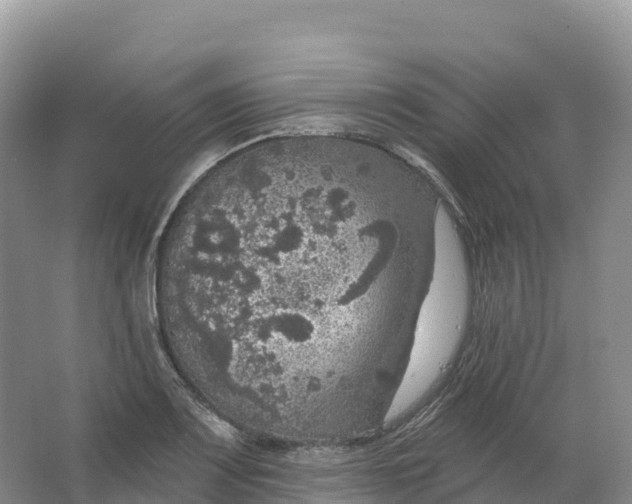 X0000064741083200602241748