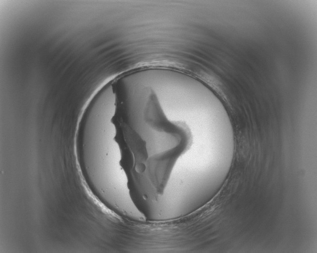 X0000064741084200602241748