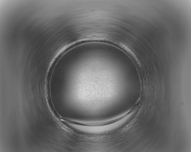 X0000064741085200602241748