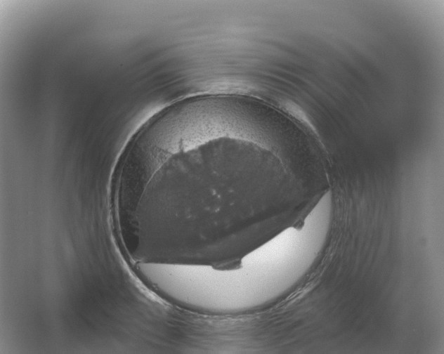 X0000064741087200602241748