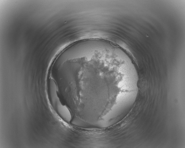 X0000064741088200602241748