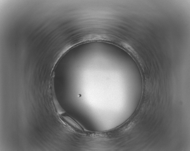 X0000064741089200602241748