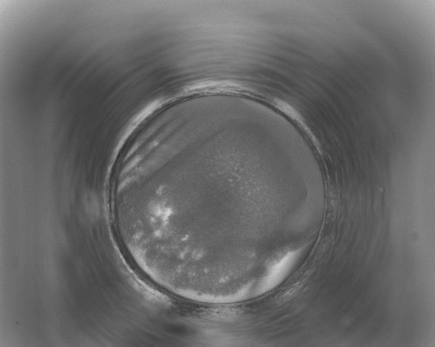 X0000064741090200602241748