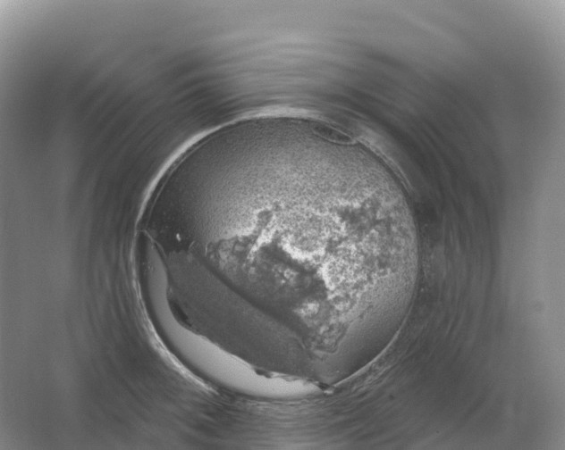 X0000064741092200602241748