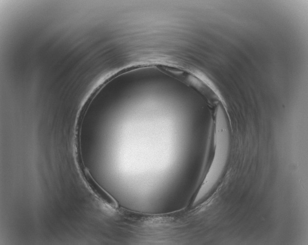 X0000064741093200602241748