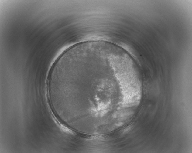 X0000064741094200602241748