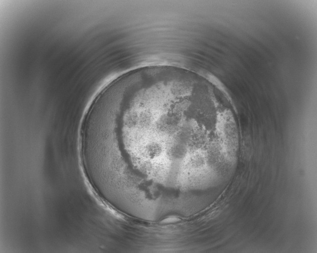 X0000064741096200602241747