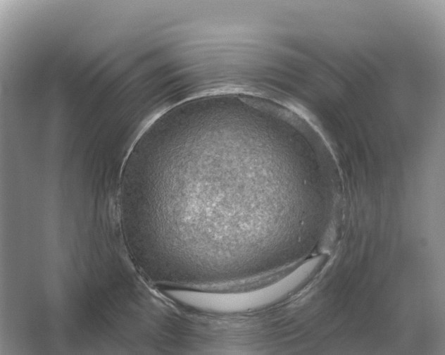 X0000064741097200602241747