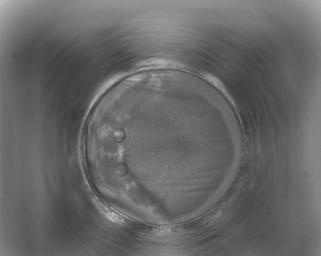 X0000064741098200602241747